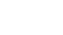 radu stan logo inv